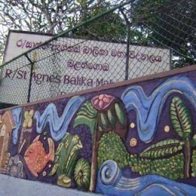 12573800 911463012285212 6129660001387962520 N